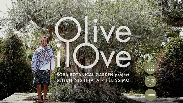 Olive ilove